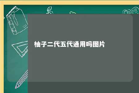 柚子二代五代通用吗图片