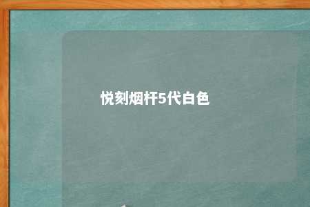 悦刻烟杆5代白色