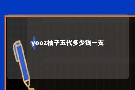 yooz柚子五代多少钱一支