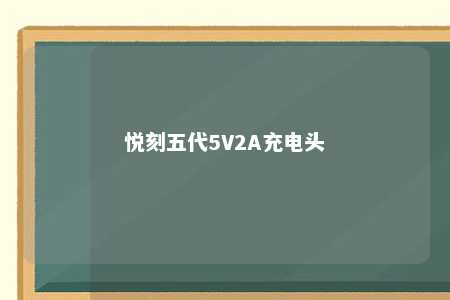 悦刻五代5V2A充电头