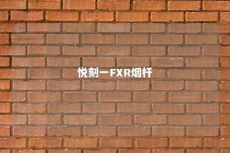 悦刻一FXR烟杆