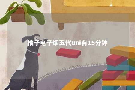 柚子电子烟五代uni有15分钟