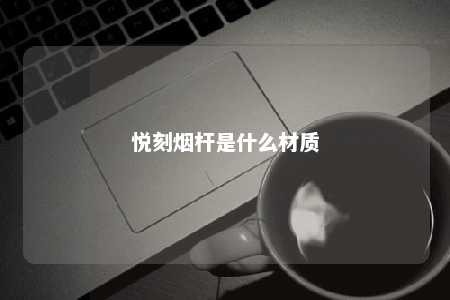 悦刻烟杆是什么材质