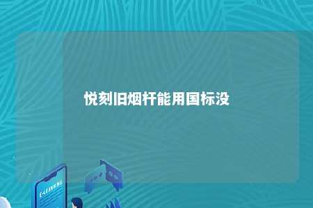 悦刻旧烟杆能用国标没