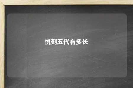 悦刻五代有多长